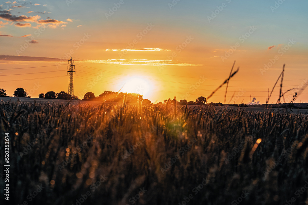Grain field in the sunset near the city of Düren Grain field in the sunset near the city of Düren