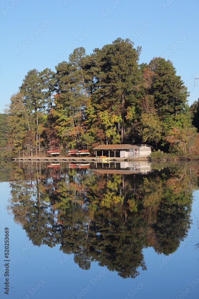 Fototapeta premium reflection of trees in the lake