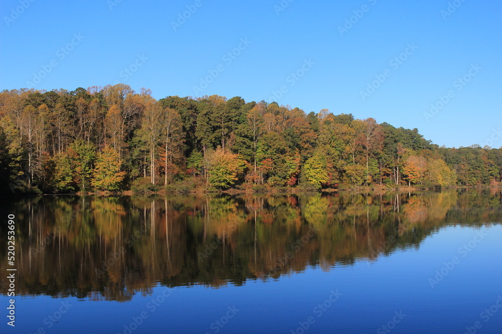 autumn trees reflected in water
