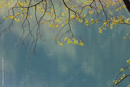 autumn leaves over blue lake - Jiu Zhai Gou photo