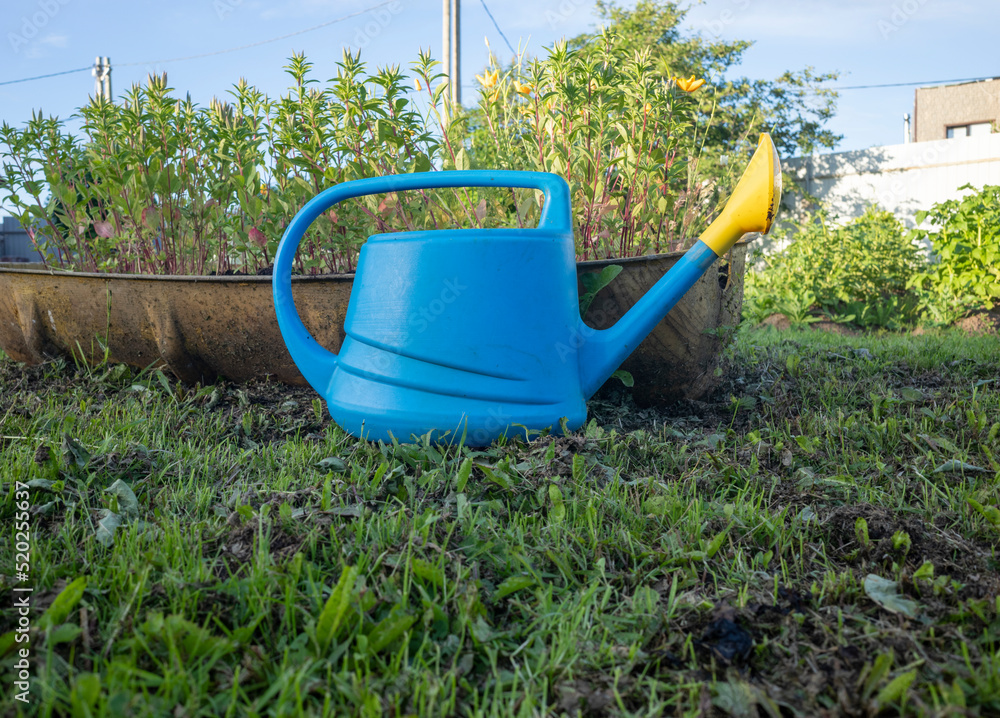 watering can for watering flowers on a garden plot, against a background of green plants and blue sky