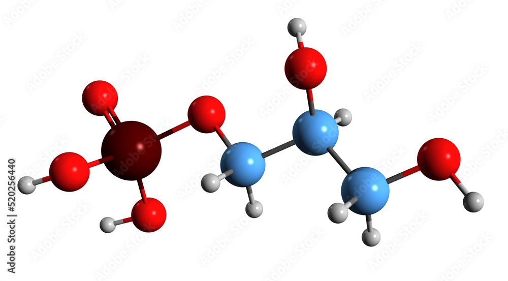 3D image of Glycerol 3-phosphate skeletal formula - molecular chemical structure of Gro3P isolated on white background
