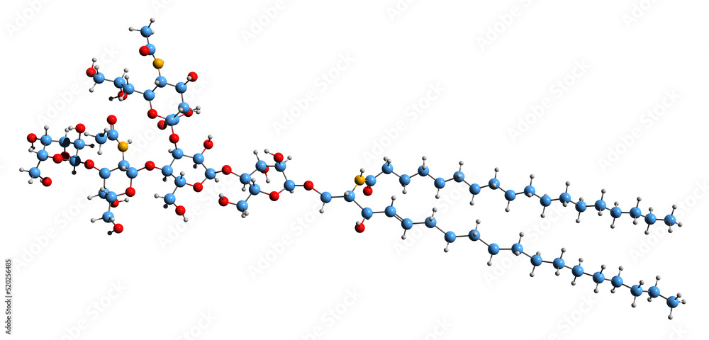 3D image of monosialodihexosylganglioside skeletal formula - molecular chemical structure of GM3 isolated on white background
3D image of monosialodihexosylganglioside skeletal formula - molecular chemical structure of GM3 isolated on white background