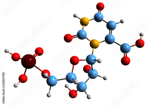 Cuadro en lienzo 3D image of Orotidine 5-monophosphate skeletal formula - molecular chemical str