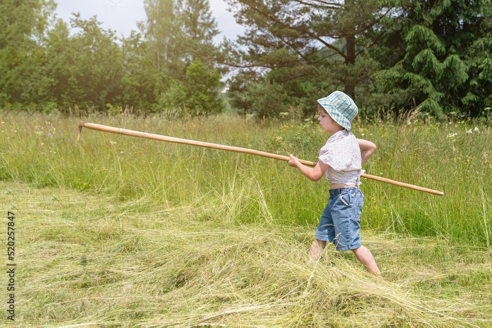 The kid walks with a big rake and on the mown grass. The boy helps to ...