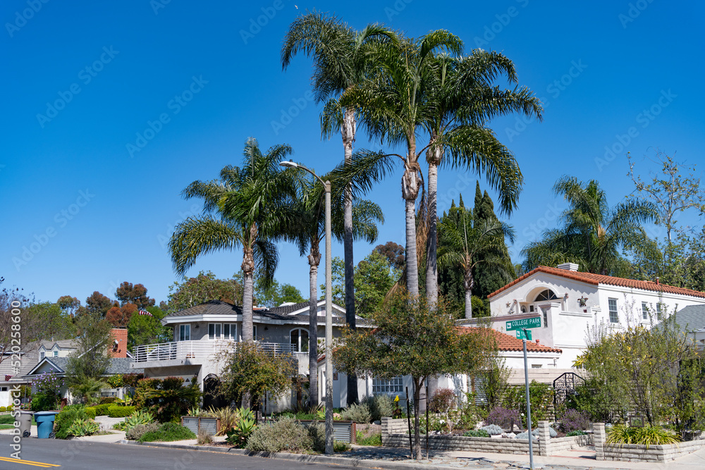 suburb residence with houses and cottages in palm beach