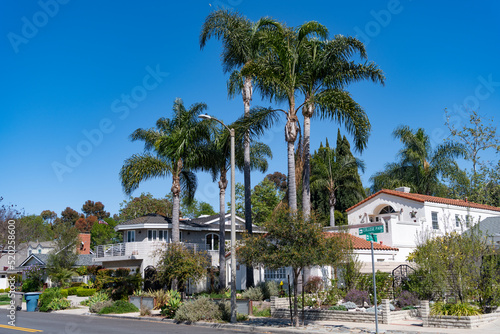 suburb residence with houses and cottages in palm beach
