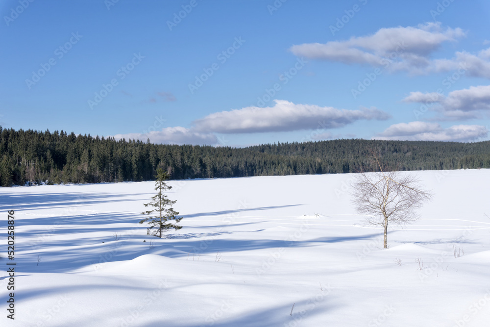 Frozen water reservoir on the Czarna Nisa river by the dam in Bedrrichov, Czech Republic, Europe. In the foreground a lonely birch and spruce tree. Frozen water reservoir on the Czarna Nisa river by the dam in Bedrrichov, Czech Republic, Europe. In the foreground a lonely birch and spruce tree.