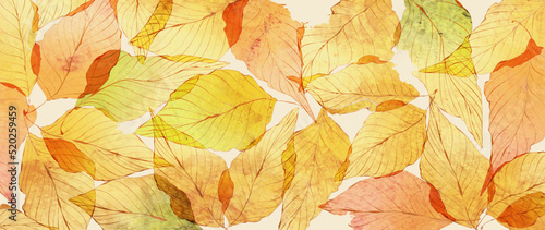 Abstract art background with dry autumn leaves in a watercolor style in yellow, red colors. Hand drawn botanical background with fallen leaves for decoration, wallpaper, print, invitations.