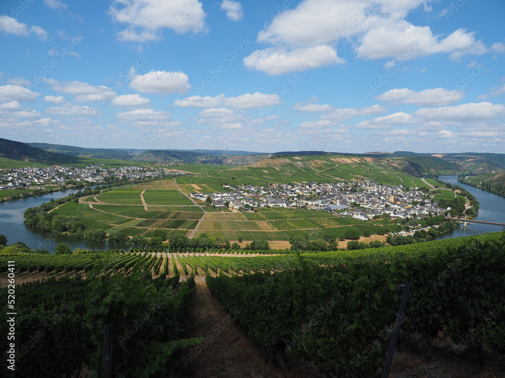Moselschleife bei Trittenheim Moselschleife bei Trittenheim