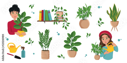 Women taking care of houseplants. Greenhouse, houseplant store concept, gardening, plant lover, home garden, plant mom, crazy plant lady. Isolated vector illustration for card, cover, banner, poster.