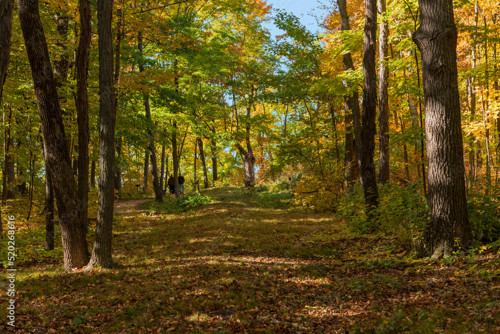 Fototapeta premium Native American Mounds At High Cliff State Park, Sherwood, Wisconsin