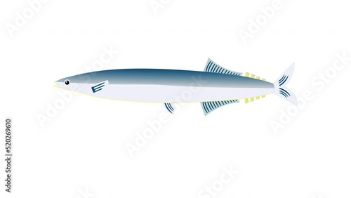 Wallpaper Mural さんま Torontodigital.ca