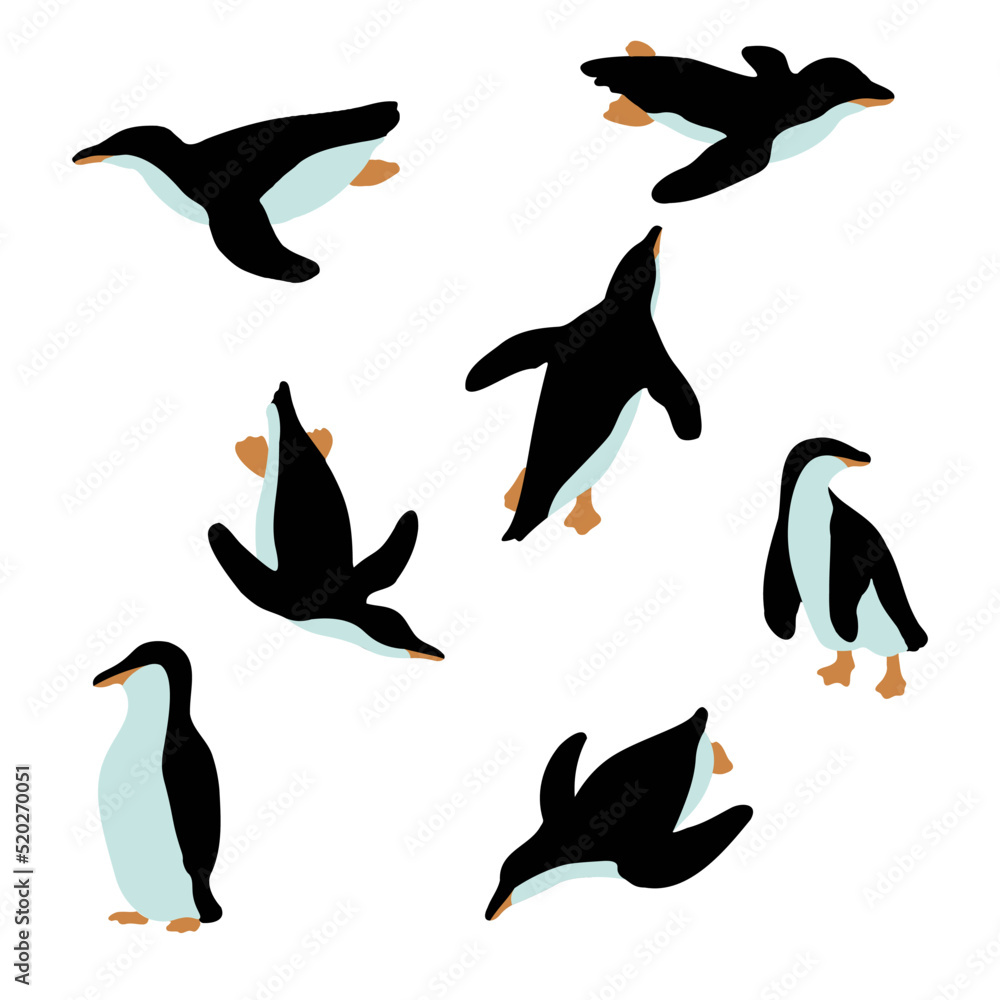 Obraz premium collection of birds