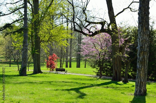 Park bench on spring path