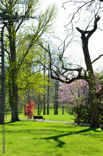 Park bench in the spring