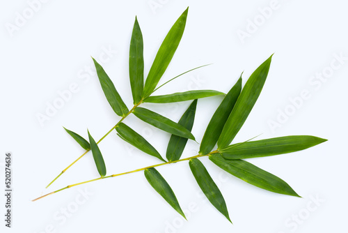 Fototapeta Naklejka Na Ścianę i Meble -  Bamboo leaf. Fresh green leaves on white background.