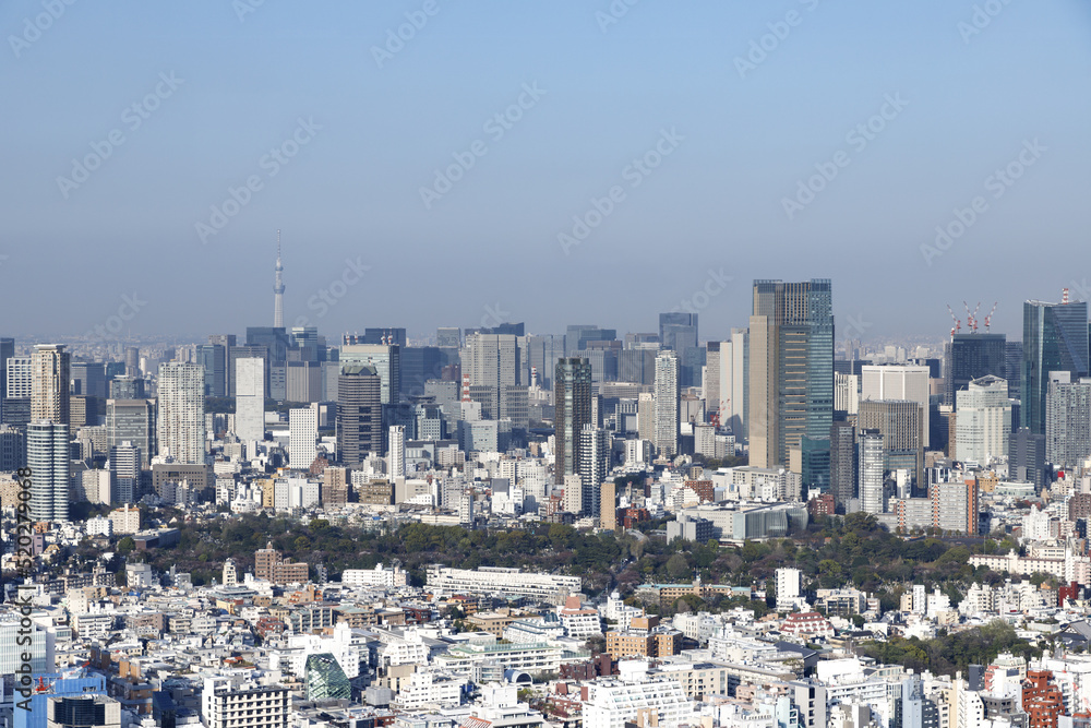 青空を背景に渋谷スカイから見た見た墨田区方向のビル群と風景