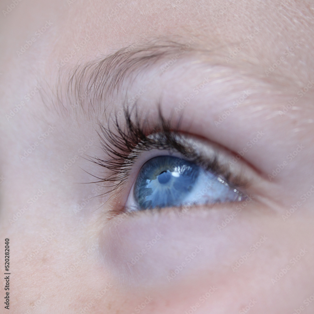 Obraz premium Blue eye