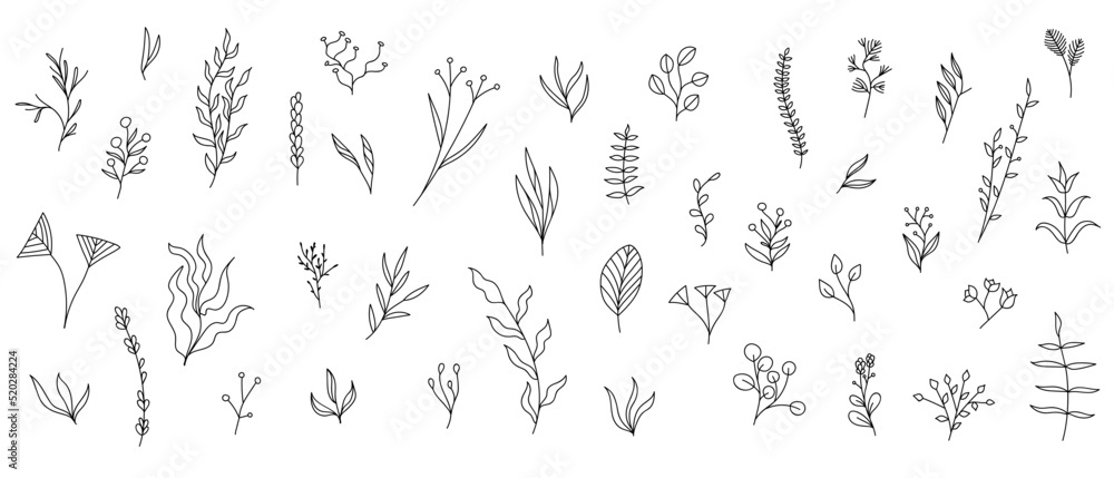 set plants hand made vector set plants hand made vector