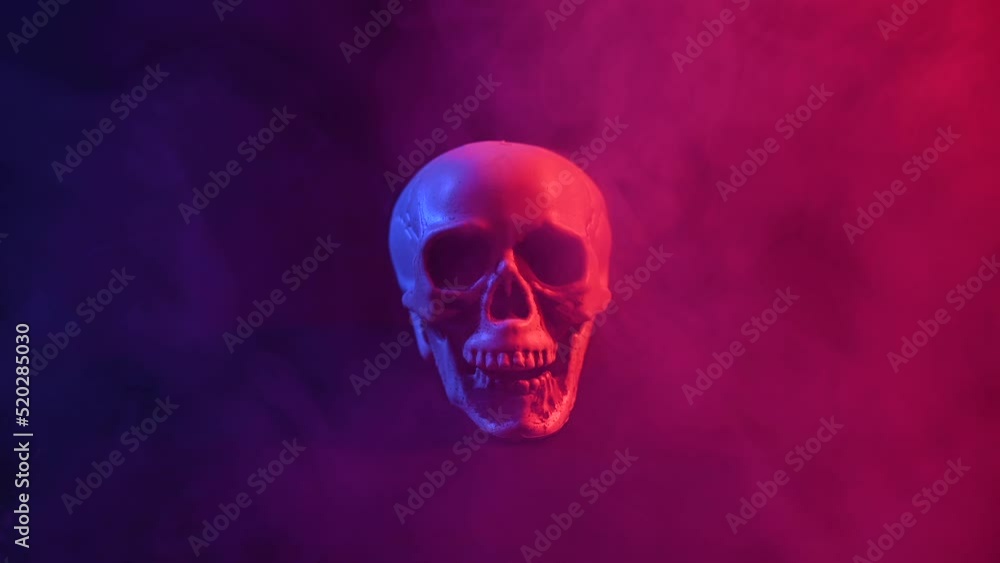 Human skull in pink and blue smoke on a black background. Halloween. Human skull in pink and blue smoke on a black background. Halloween.