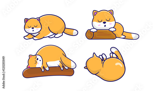 Cute funny fat cat sleeping and sitting