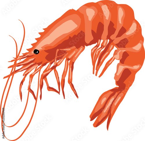 
Shrimp art in vectors style