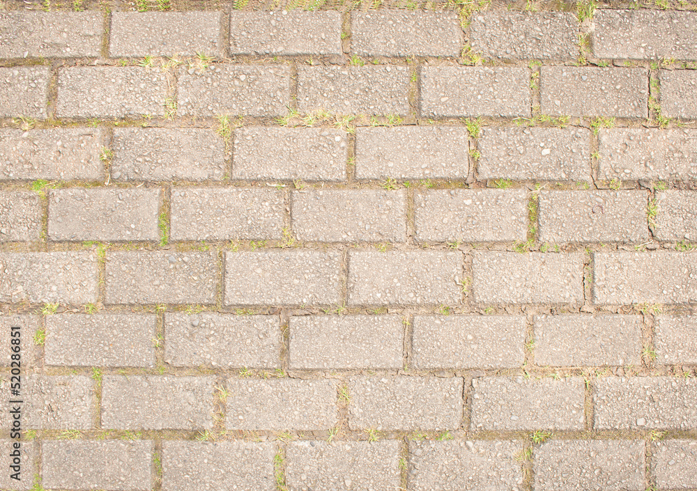 Fototapeta premium Textura de piso ladrillo urbano con tierra y pasto