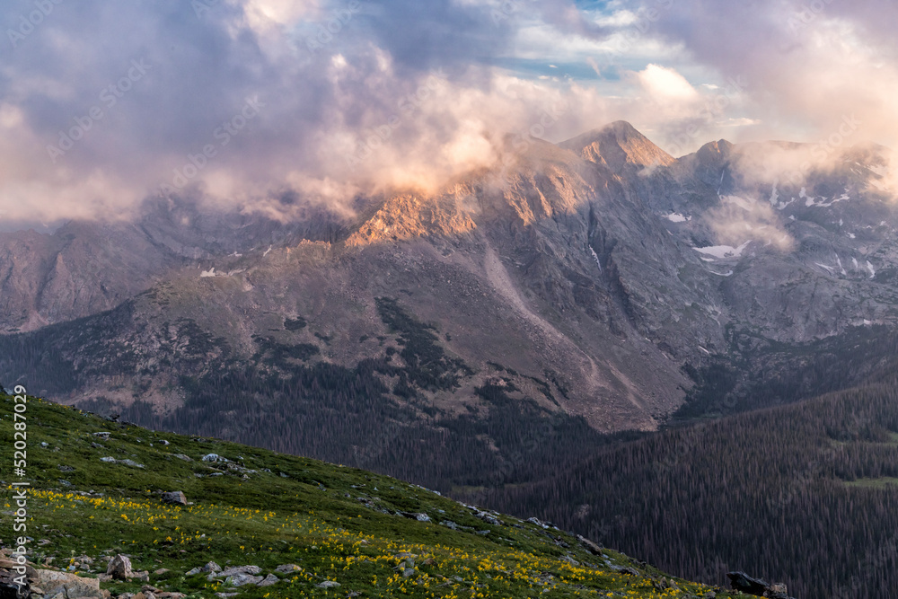 Fototapeta premium Misty Mountain Peaks & trail Ridge Alpine Sunflowers