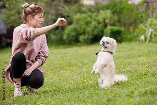 Obraz na plátne Girl with Tibetan Spaniel dog on green lawn