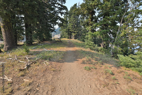 Beautiful PCT Trail in Oregon Section