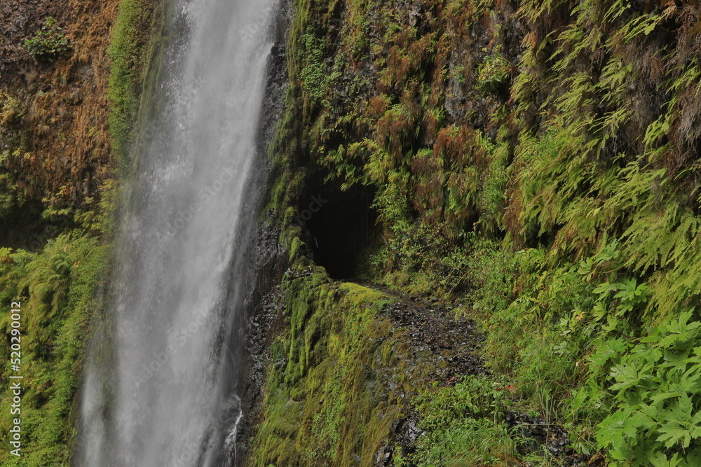 Tunnel Falls in Oregon