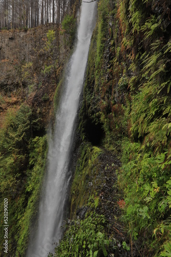 Tunnel Falls in Oregon