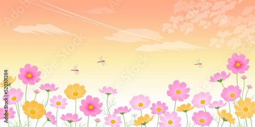 夕焼けとコスモス畑_イメージ背景（2：1）_ベクターイラスト