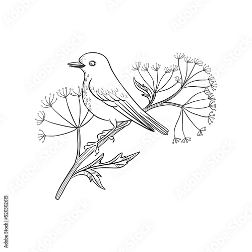 vector drawing bird at branch , hand drawn illustration for cover design or print © cat_arch_angel