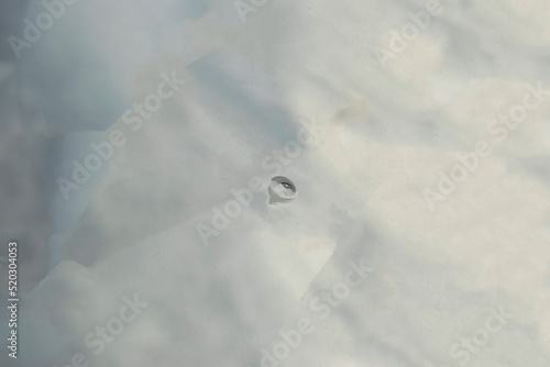 stone chip on car glass	