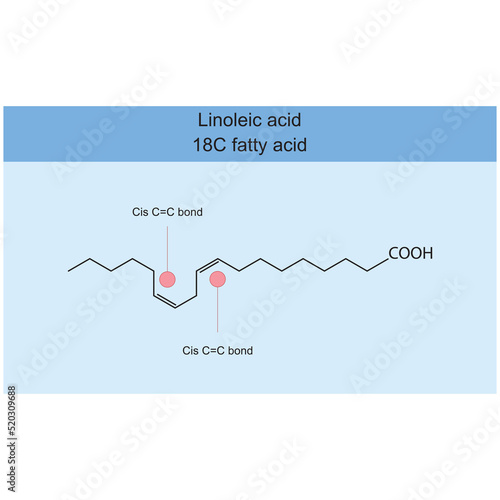 Linoleic acid (18 carbon fatty acid) chemical structure on blue background - cis double carbon bond highlighted. photo