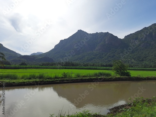 Nagercoil Landscape