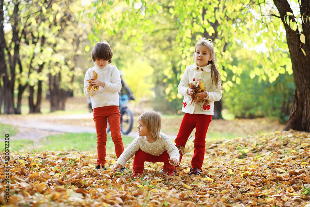 Fototapeta premium Children for a walk in the autumn park. Leaf fall in the park. Family. Fall. Happiness.
