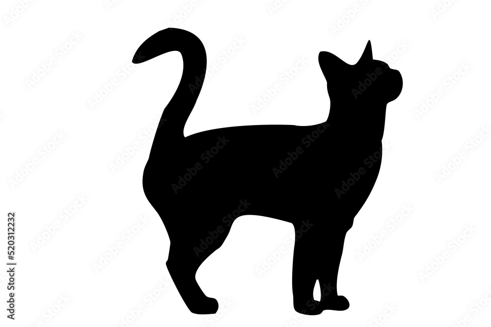 black silhouette of a cat, on a white background, side view