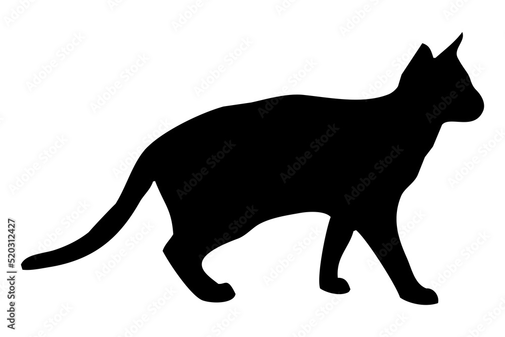 black silhouette of a cat, on a white background, side view