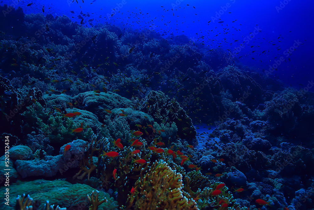 Naklejka premium coral reef background, underwater marine life ecosystem ocean sea