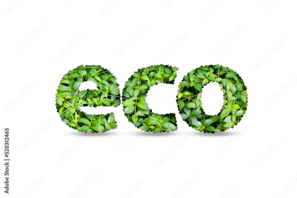 eco icon made of plants on a white background eco icon made of plants on a white background