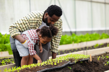 farmer family concept. black african father teaching child to plant tree in agriculture farm vegetable patch to love green nature.