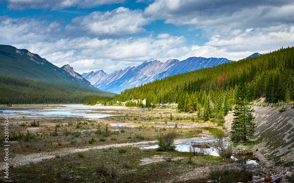 Beautiful mountain landscape. Sunwapta river. Icefields Parkway - highway between Banff and Jasper. Canadian Rockies. Jasper National Park. Alberta. Canada