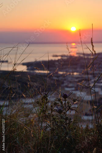 Background of beautiful red summer sunset in the coast against the Adriatic sea in Slovenia. Abstract texture. 