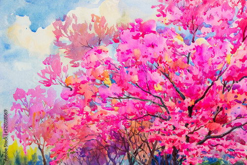 Semi- abstract colorful watercolor painting wild himalayan cherry .