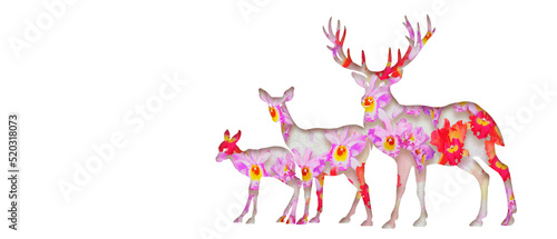 Watercolor painting animal illustration deers with cattleya orchid.