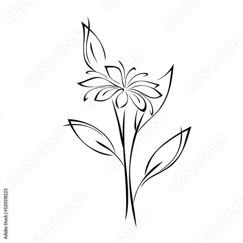 ornament 2406. stylized blooming flower on a stem with leaves. graphic decor