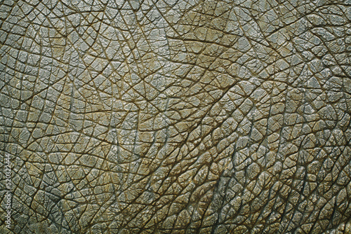 Dinosaur animal skin texture for background.